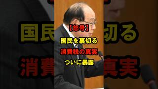 【怒号】国民を裏切る消費税の真実！ついに暴露！#日本 #政治 #自民党 #減税 #消費税 #shorts