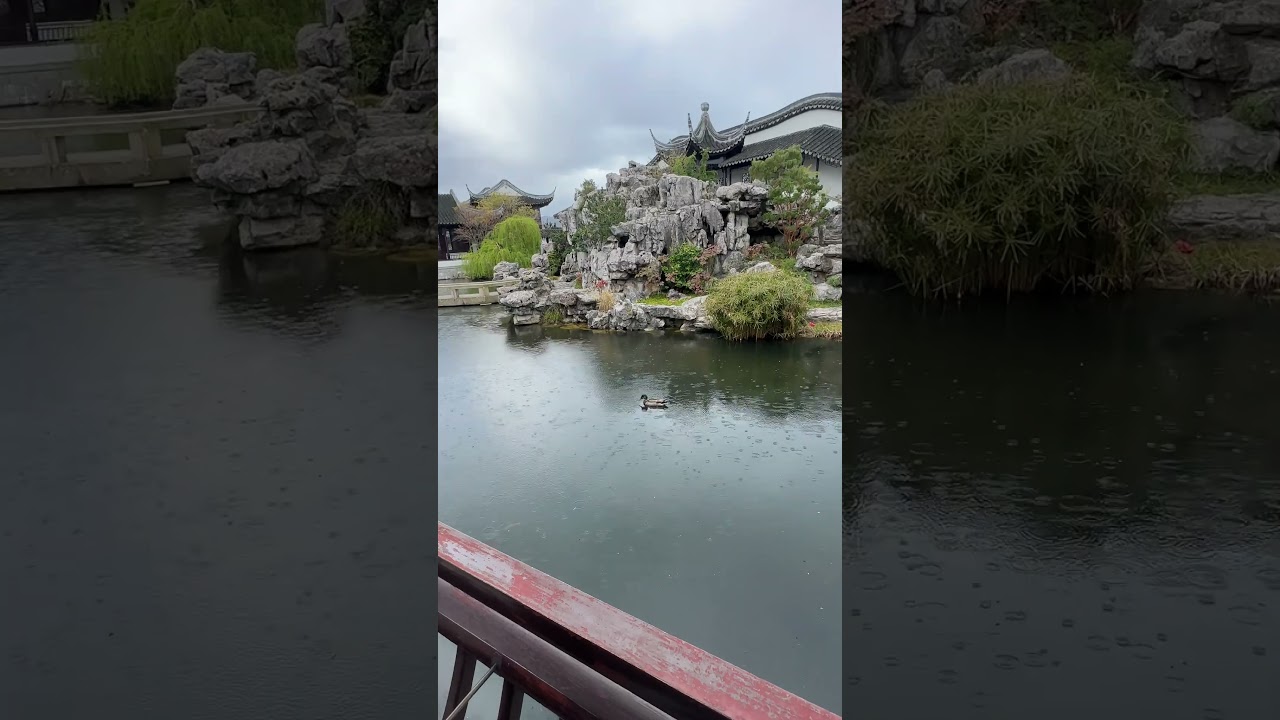 YouTube Short thumbnail