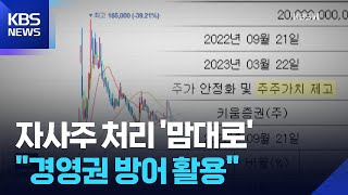 ‘한입 두말’도 속수무책…“경영권 방어 대안 달라” / KBS  2025.11.27.