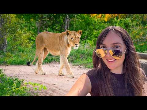 Is a Kruger Safari Worth the Hype? (Honest Opinion)