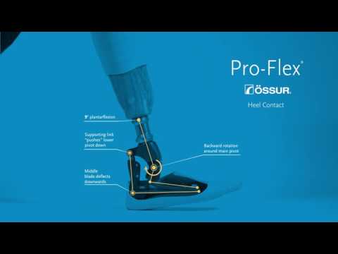 Carbon fiber proflex xc foot, size: xxl