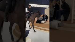Download lagu Chanel Horse show 2022 mp3 Download lagu Chanel Horse show 2022 mp3