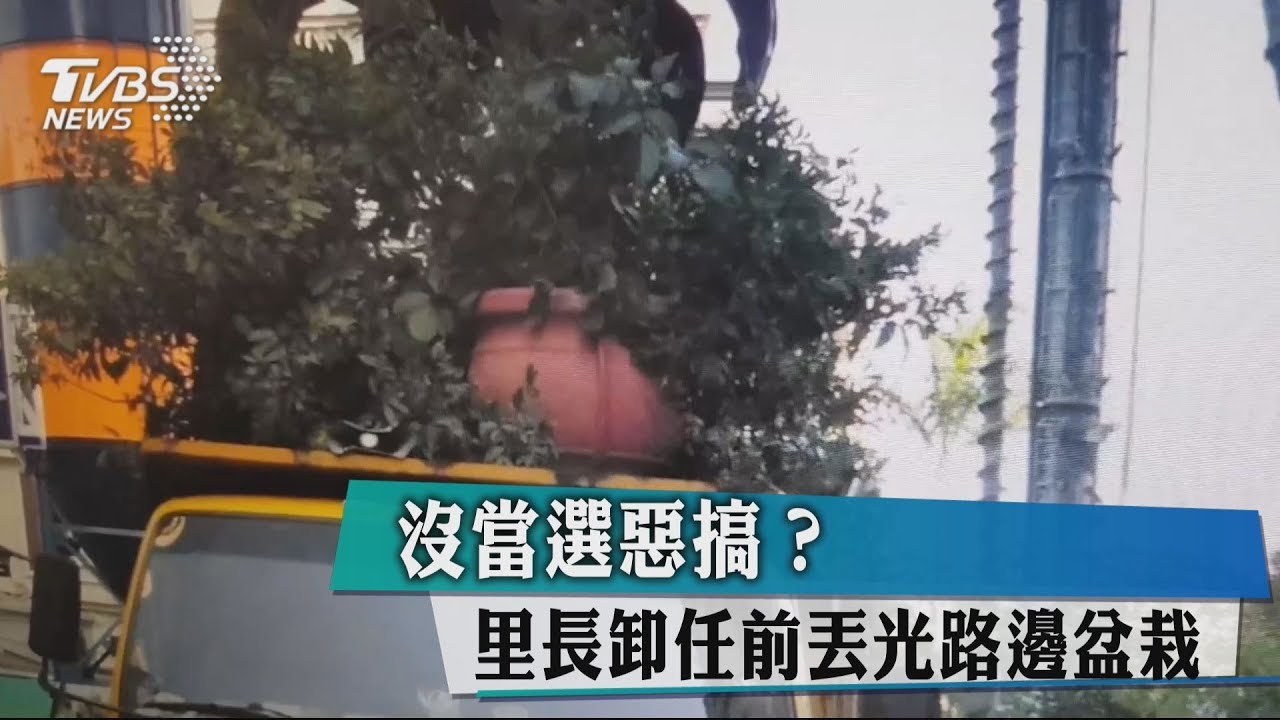 沒當選惡搞? 里長卸任前丟光路邊盆栽