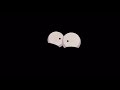 Lightomania Eyes In The Dark