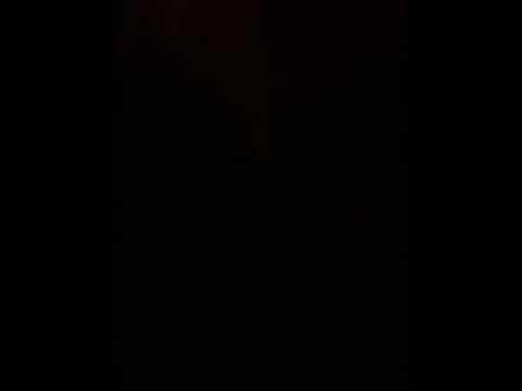 Trodney rotta car sessh