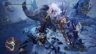 【MHW:IB】MR14(初期位置)初見アンジャフ亜種(武器防具上位装備のまま)【モンスターハンター/アイスボーン】