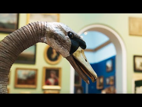 Bowes Museum Silver Swan | Howell Media