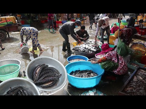 Fresh meats and veggies explore in Phum Russey wet market