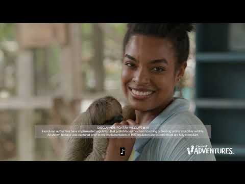 Thumbnail for Carnival Adventures – Mahogany Bay | Carnival Cruise Line