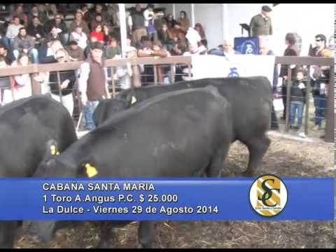Cabaña Santa María - Ventas Toros - La Dulce - 29/08/2014