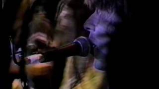 NRBQ "Pretty Little Thing" at Grassroots Festival in Trumansburg, New York 1993