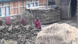 preview picture of video 'Thuman - życie wiejskie w Himalajach'