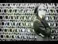 Plavi Orkestar - Jedina (1999-2000) 