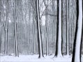 Winter wonderland (Jewel) 