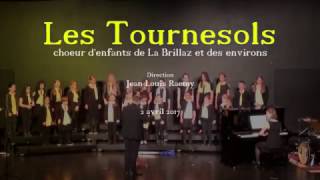 Le jouet extraordinaire    /    C. François