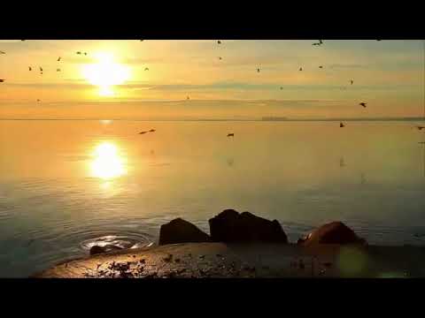 [AS BUMP] Zomby - Tarantula