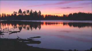 John Foxx & Harold Budd - You Again