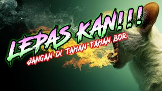 Download lagu 🔴 LEPAS KAN!!! REMIX LAMPUNG MUSIK LEPAS ARR DINDA SADAM mp3
