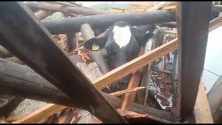 Miniatura do vídeo