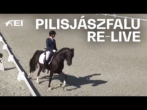 RE-LIVE | Dressage Individual Test Day 2 | Ponies | FEI Dressage European Championships 2020