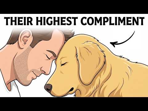 The 10 Deepest Compliments a Dog Can Give You (Science Explained)