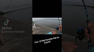 Baytown Tx!! #baytown #toadfish #bullred #gethooked