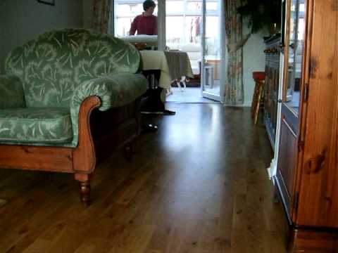 Chester and the Squeaky Toy