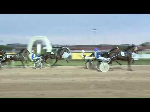 2017.04.15. 10. futam - DALIÁS HENDIKEP