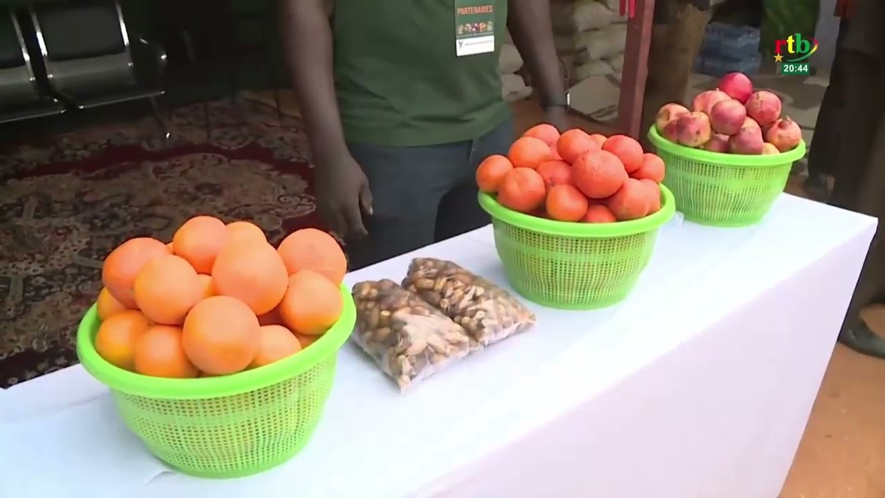 AES Actualités : lancement officiel à Niamey de la foire des maraîchers de la région d’Agadez