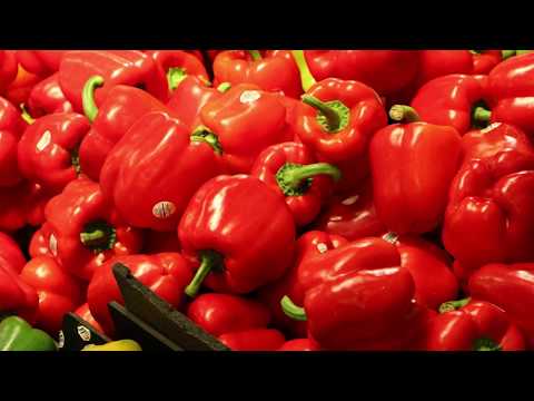 Freshfields Farm chose LS Retail software solutions