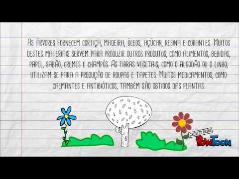 Perda da biodiversidade e desflorestação