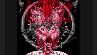 Destroyer 666 - Rise Of The Predator