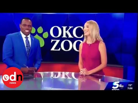 Anchor Apologises to Co-Host for Comparing Him to a Gorilla on Live TV