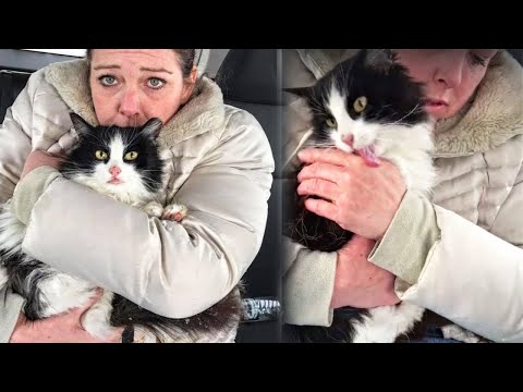 Woman Rescues a Freezing Stray Cat And She Can't Stop Thanking Her