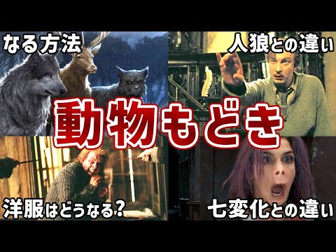 ハリー・ポッターの動物:特徴と好奇心