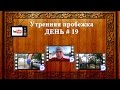 Утренняя пробежка день 19 