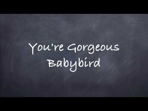 You're Gorgeous-Babybird Lyrics