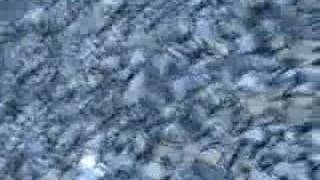 moe. where does the time go