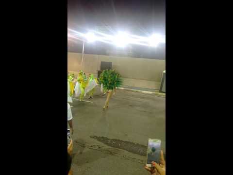 Desfile 2016 - Imperatriz da Sul