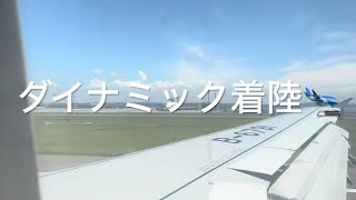 【Teil209】欧州発着中国国際航空を利用して日本に行ってみた!