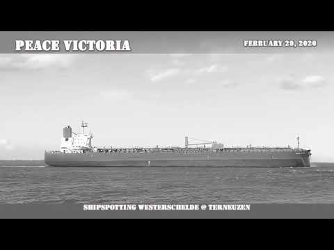 Shipspotting Westerschelde @ Terneuzen - "Peace Victoria" - 29-02-2020 (2)