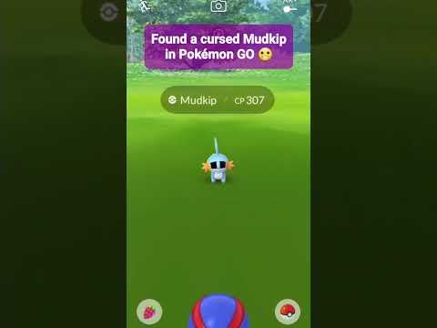 I Found a Cursed Mudkip in Pokémon GO 😬