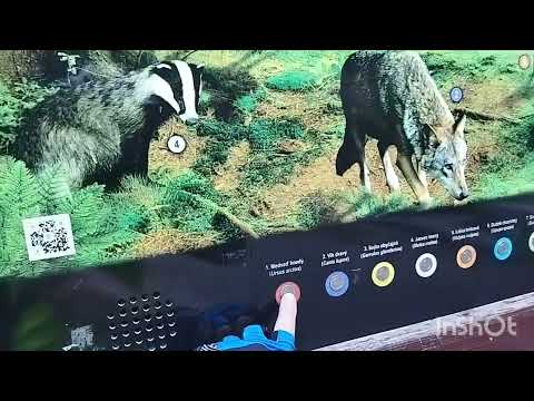 Cyklotrasa Vihorlat.