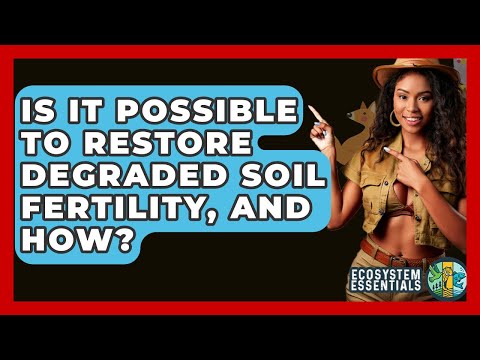 Is It Possible To Restore Degraded Soil Fertility, And How? - Ecosystem Essentials