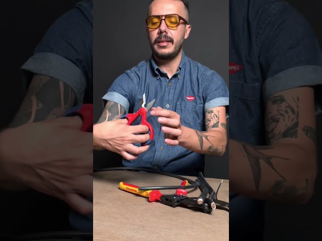 Vídeo relacionado con Tijeras Westcott Easy Grip 3 piezas Mix | Juego de 3 tijeras universales con agarre cómodo | Cuchilla de acero inoxidable extra afilada y duradera | Tijeras para hogar y oficina | N-90033 00
