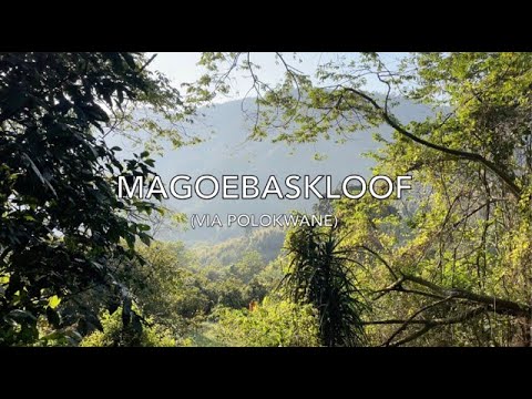 MAGOEBASKLOOF - Birding adventure via Polokwane