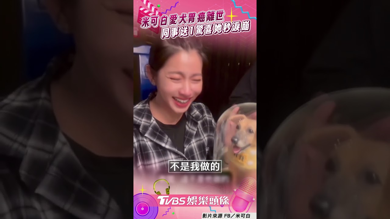 影音／米可白13歲愛犬離世1個月　同事送「擬真公仔」她秒淚崩