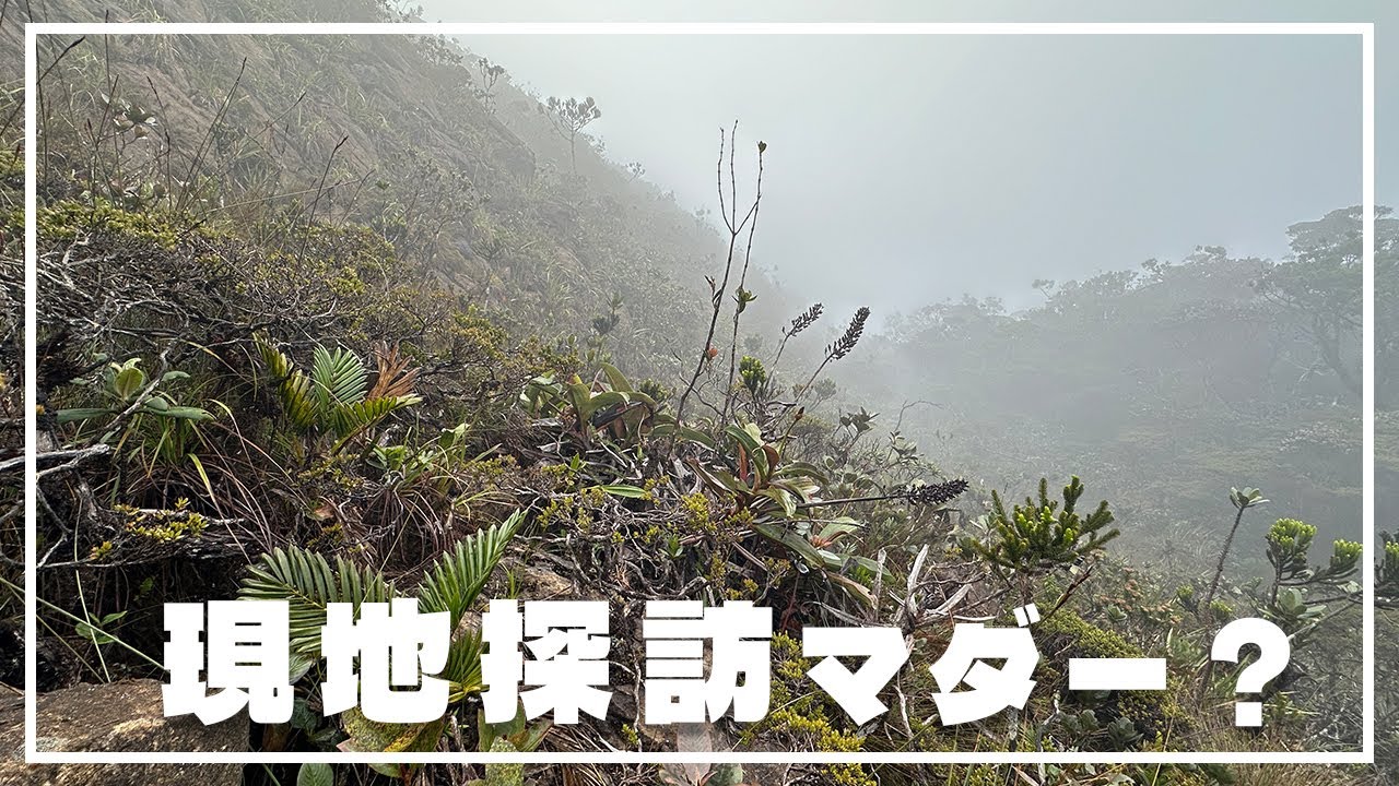 【雑談】海外遠征へ行ってきます！