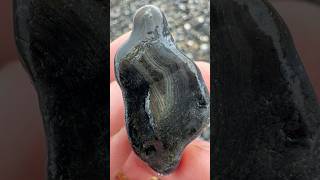 Download lagu Yes I licked it 😋#agates #agate #agatehunting #rockhounding #rockhound #beachcombing mp3