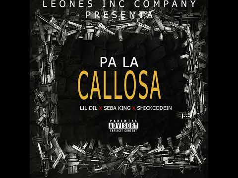 Pa La Callosa (PROD BY Theblacklion[EX DJ HOUSE MÚSIC])